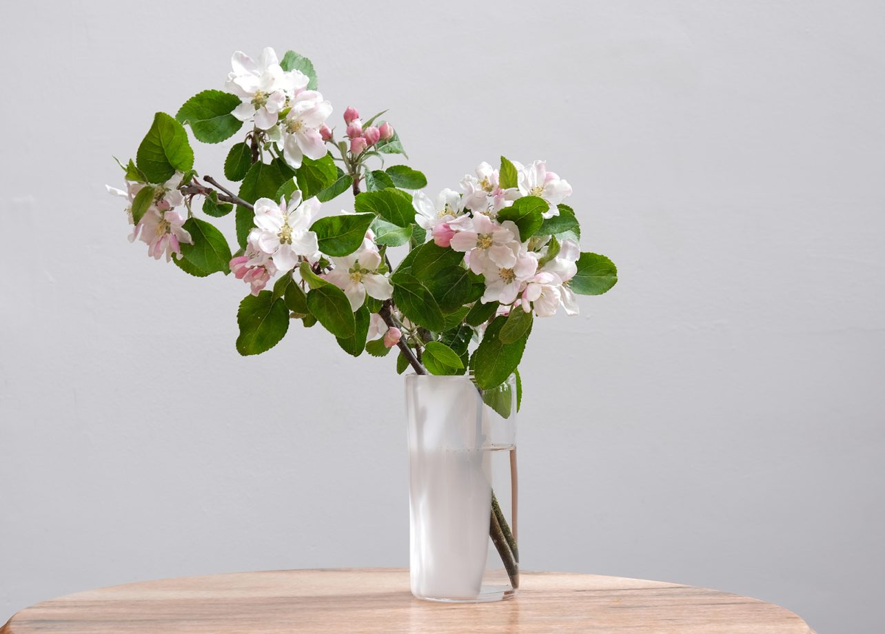 Apple Blossom in Milk & Spirit Vase